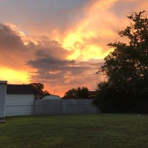 Meet your Posher, Casey